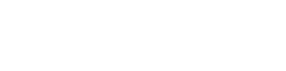 Özgelaksi